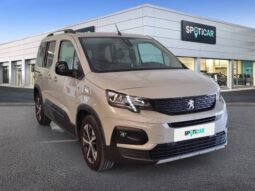
										Peugeot Rifter BlueHDi 130 GT Standard 96 kW (130 CV) full									